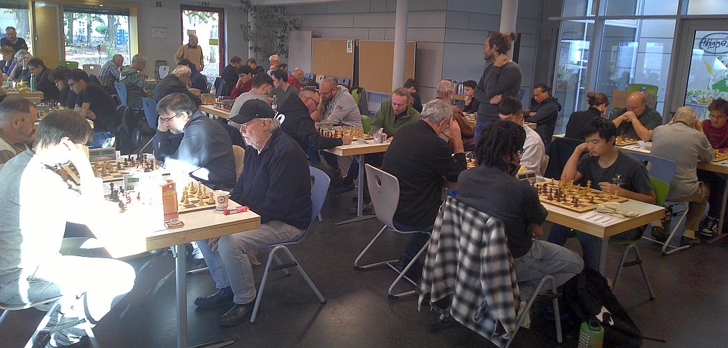 Bild