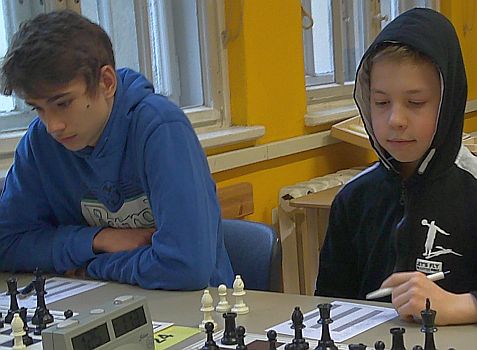 Bild